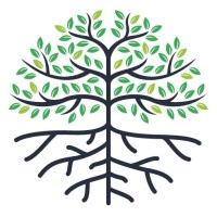 DeepRoots Global Logo