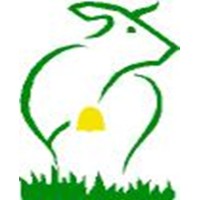 Bonfoods Logo