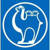 Camel Group Co.,Ltd. (International) Logo