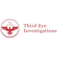 THIRD EYE INVESTIGATIONS Logo