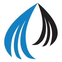 Peniel Technology LLC Logo