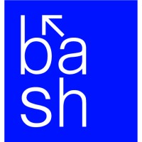Bash SDM - Strategic Digital Marketing Kochi, Kerala Logo