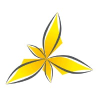 Timor Leste Vision Inc Logo