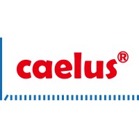 Caelus Technologies Logo