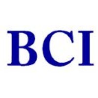 BCI Executive Search Logo
