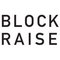 BLOCKRAISE Logo