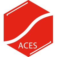 Australian Cost Engineering Society (ACES) - NSW Chapter Logo
