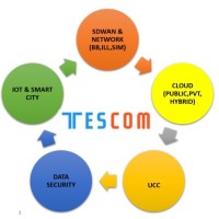 TESCOM Business Solutions Logo