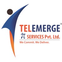 TELEMERGE IT SERVICES PVT. LTD Logo