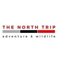 Traveldoor Logo