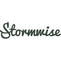 Stormwise agency Logo