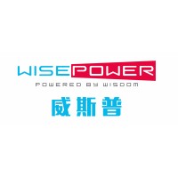 WISEPOWER ENTERPRISE INDIA PRIVATE LTD. Logo