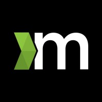 Methys Group Logo