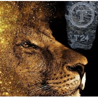 T24 Logo