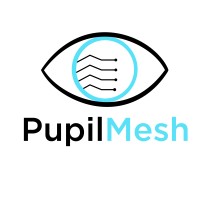 PupilMesh Logo