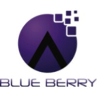 Blue Berry e-Services Private Limited Logo
