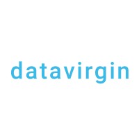 Datavirgin Logo