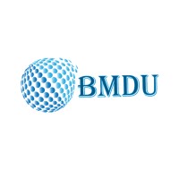 BM Digital Utilization Logo