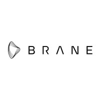 Brane Enterprises Pvt Ltd Logo