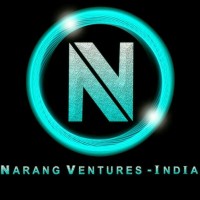 Narang Ventures India Logo