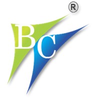 Balaji Credit Services Private Limited Logo