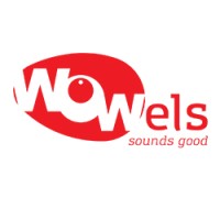 Wowels | Online Advertising Agency Logo