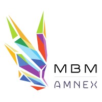 MBM AMNEX TECHNOLOGIES LLC Logo