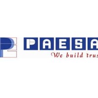 PT Paesa Pasindo Engineering Logo