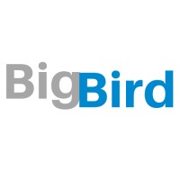 Big Bird Transportation Logo