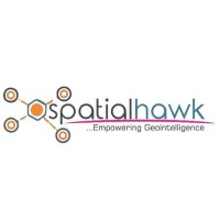 SpatialHawk Logo