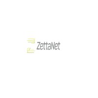 ZettaNet Logo