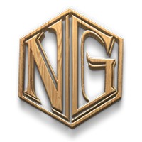 NASLAX GEOSERVICES PVT. LTD. Logo