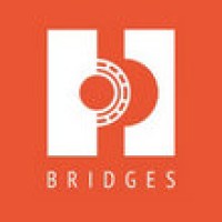 Bridges Global Company Limited 桥源国际有限公司 Logo
