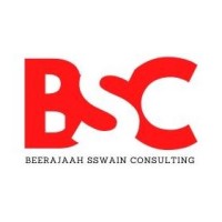 BS Consult Logo