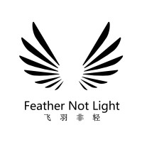 Shanghai Feiyu Business Consultant Co., Ltd Logo