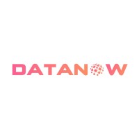 Datanow Solutions LLP Logo