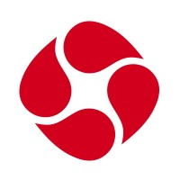Infovision Social- Research, Social & Digital Experience Logo