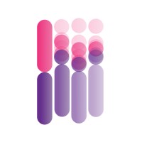 BaseSolve Informatics Pvt. Ltd. Logo