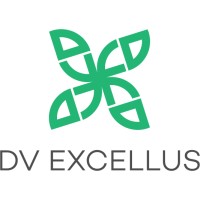 DV Excellus Pvt. Ltd. Logo