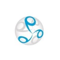 Professional Insights Marketing Services Logo