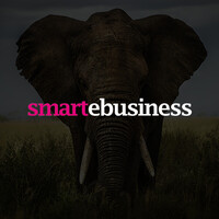 smartebusiness - Ecommerce Growth Specialists Logo