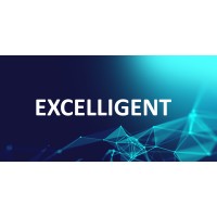Excelligent Marketing Solutions Pvt. Ltd. Logo