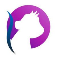 6Biz Academy Logo