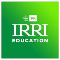 IRRI Education Logo