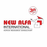 New Alfa International Logo