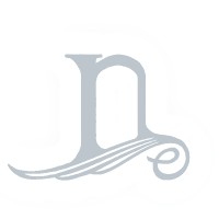 nat Inc. Logo
