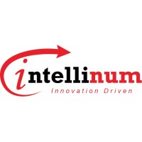 Intellinum Solutions India Private Limited Logo