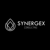 Synergex Consulting Logo