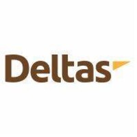 DeltasPharma India Private Limited Logo