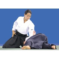 Aikido Alphen Logo